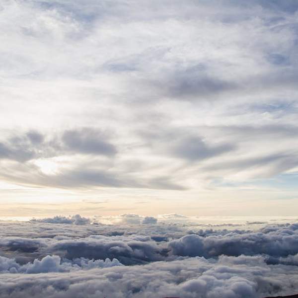 156cm 여성, 근육량 늘리기: 건강하고 아름다운 몸매 만들기 완벽 가이드