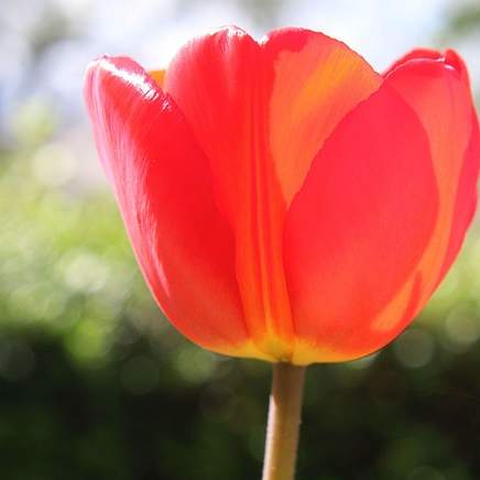 APM 옆 호텔, 당신의 완벽한 서울 여행을 위한 선택