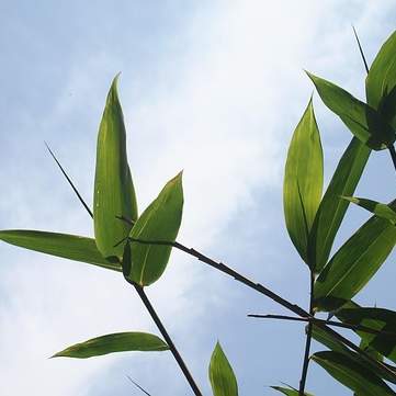 여수 죽림 유캐슬: 꿈같은 휴식과 잊지 못할 추억을 선사하는 곳